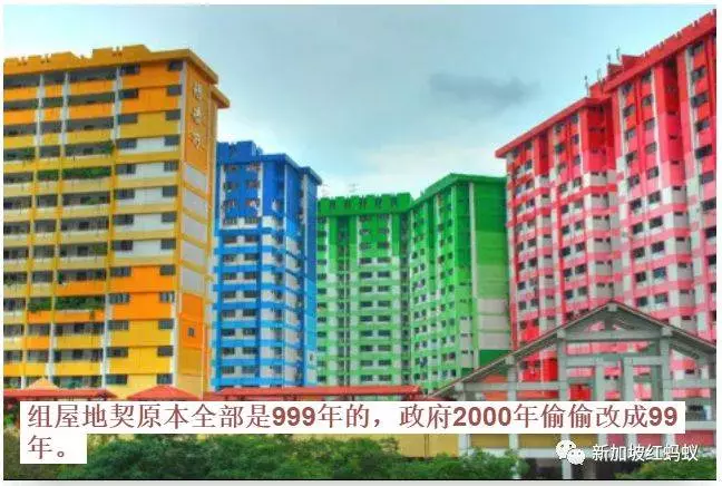 連新加坡人都還搞不懂的 "打假法",到底是什麼東東