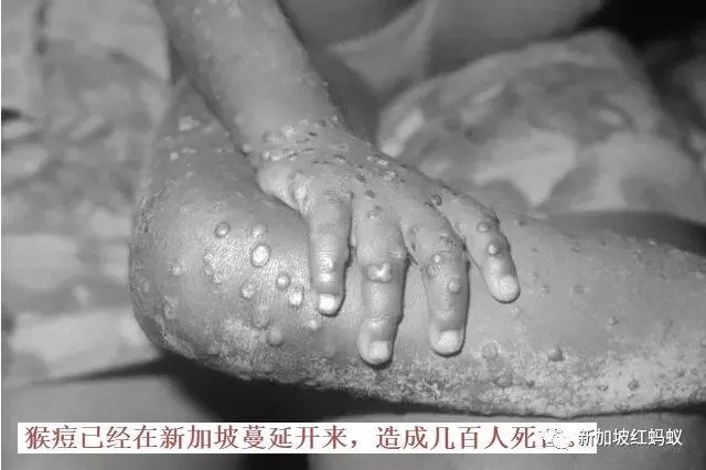 連新加坡人都還搞不懂的 "打假法",到底是什麼東東