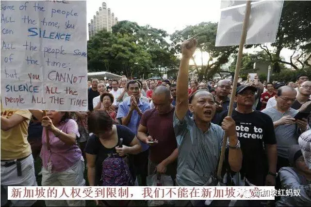 連新加坡人都還搞不懂的 "打假法",到底是什麼東東