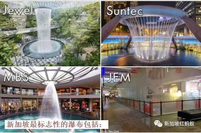 連新加坡人都還搞不懂的 "打假法",到底是什麼東東