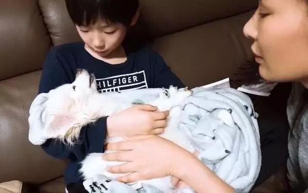 16歲老狗當天使瞬間,小男孩立刻崩潰大哭