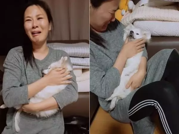 16歲老狗當天使瞬間,小男孩立刻崩潰大哭