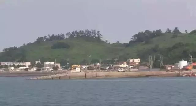 這只貓咪每天拖著孩子艱難走路,脖子受困的貓媽感動很多人