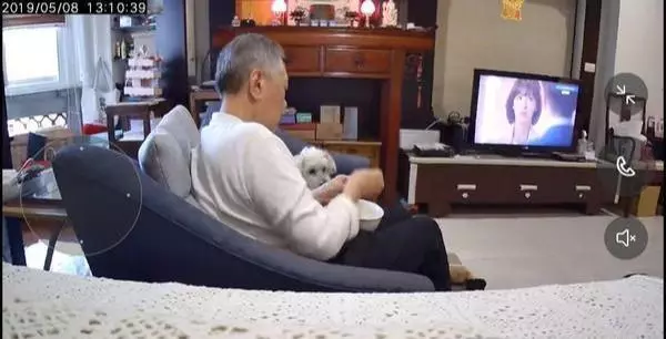 家中狗狗「每日什麼都不吃」原以為是挑食 看了監控才知道元兇是爸爸