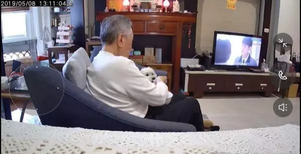 家中狗狗「每日什麼都不吃」原以為是挑食 看了監控才知道元兇是爸爸