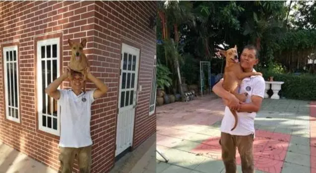 流浪狗在垃圾堆艱難度日,被富豪收養後,牠穿金戴銀過上不一樣的生活