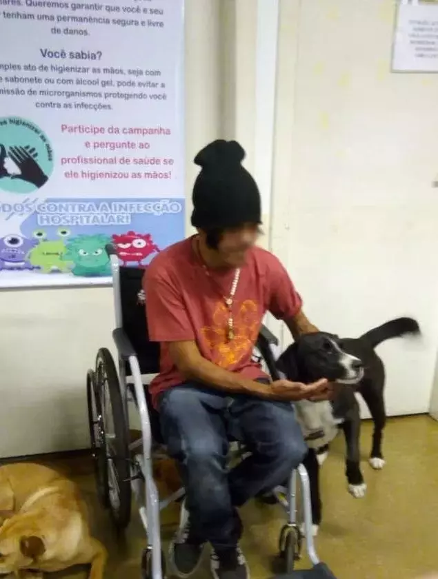 流浪漢因病入院,四隻愛犬「一臉焦急」卻「遵守規矩」醫院門外等待