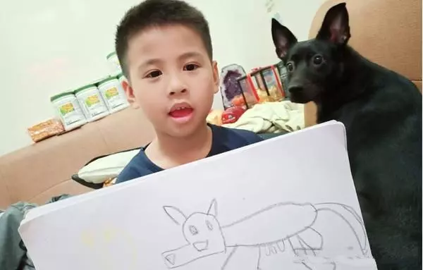 小主人畫狗狗超抽象,狗狗回頭一臉驚嚇:原來我長這個鬼樣子