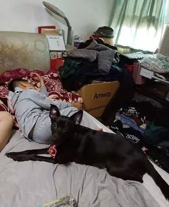 小主人畫狗狗超抽象,狗狗回頭一臉驚嚇:原來我長這個鬼樣子