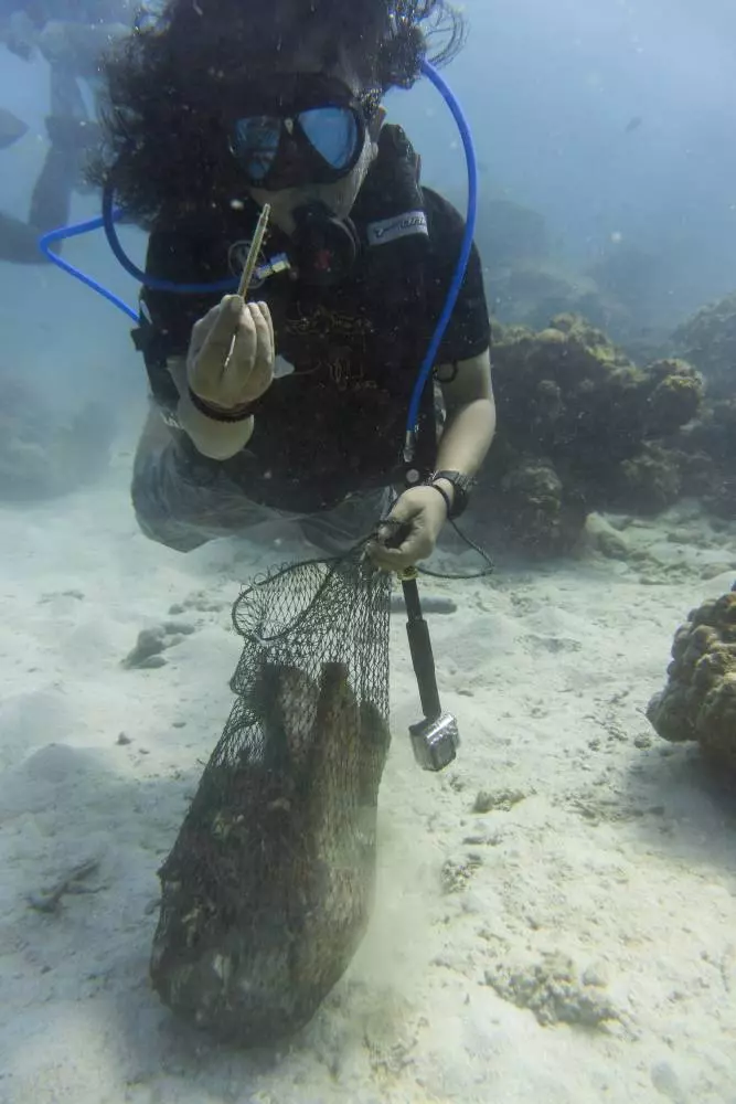 竟有人這樣對待Pulau Redang!再這樣下去清澈見底的海水即將消失不見!