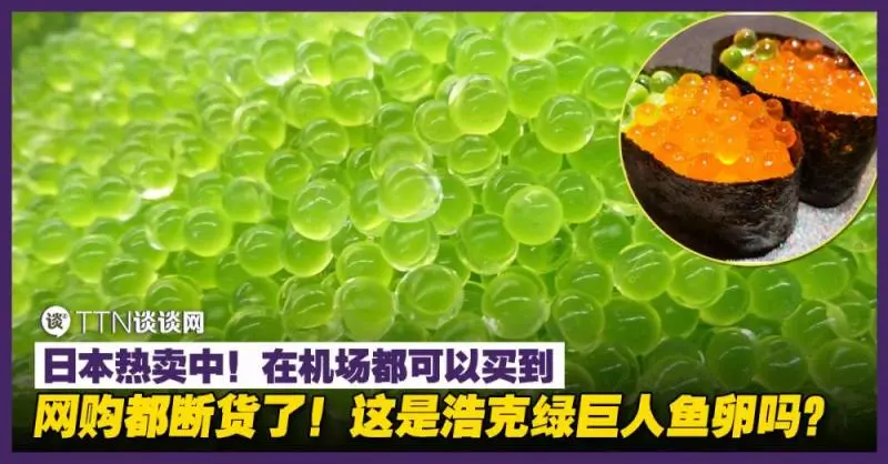 羅斯瑪應該都不夠他來!口紅哥李佳琦家裡首次公開!價值百萬的口紅多到可以壓死你!