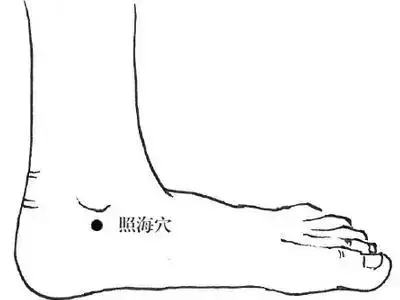 為什麼人體中的穴位能幫助身體消炎、解氣、排毒閥?