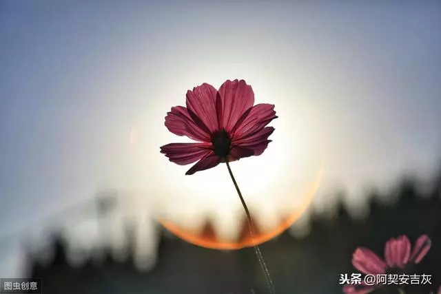 面對愛情,十二星座的心是啥做的?