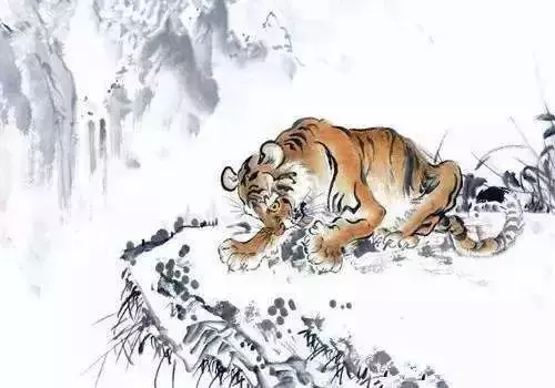 12生肖品質最突出排行榜,最好的是你嗎?