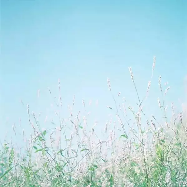 一位著名風水大師透露的秘密:好風水不是祖墳,也不是家裡! 而在簡單的「這一點」