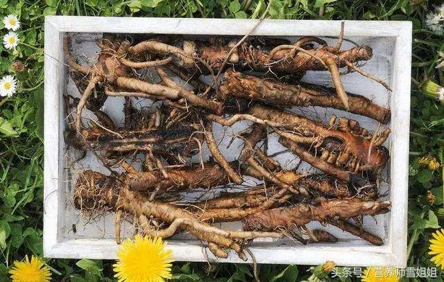 胃不好,遠離「三物」,多飲「四水」,做好這五件事,胃一點點變好!
