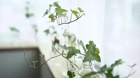 沒錢,連最親的人都會瞧不起你!