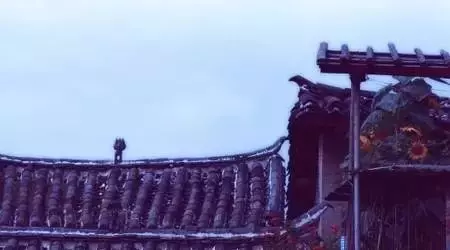 沒錢,連最親的人都會瞧不起你!