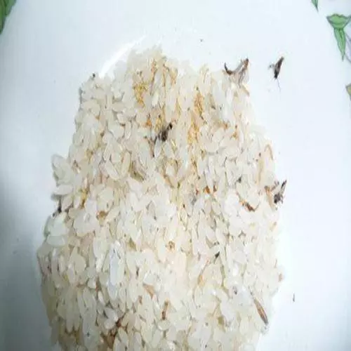 白米買回來短期內吃不完,放著放著就長蟲了,教你預防,就不會浪費了!