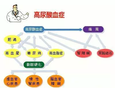 醫生說,高尿酸最嚴重的後果不是痛風?這6物煮水喝,降酸很明顯