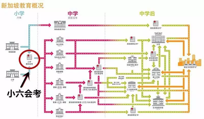 《新加坡》從出生到「」死亡「」!揭秘你在這的一輩子