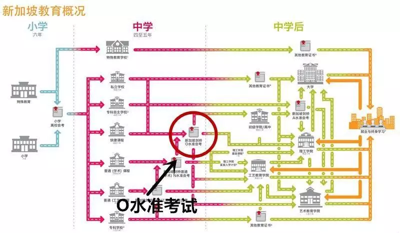 《新加坡》從出生到「」死亡「」!揭秘你在這的一輩子