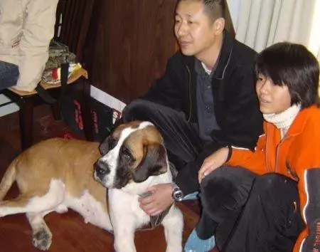 流浪狗餓到體無完膚,被救治後,才發現狗狗對新主人來講是「無價之寶」