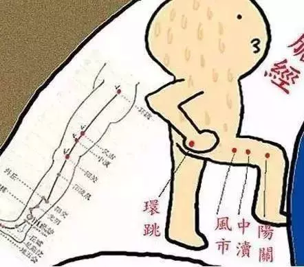 腿上有條經脈很神奇,每天敲打50下,白髮變黑髮,氣血也暢通,連肚子上的贅肉都消失了