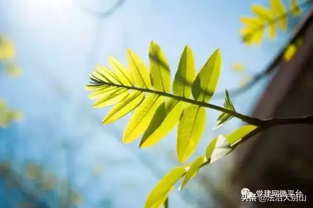 你的生活,離不開這18個有趣定律