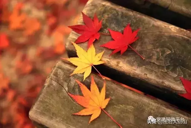 你的生活,離不開這18個有趣定律