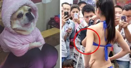 25張你必須要看兩眼才能看懂的「完美眼花錯位照」!