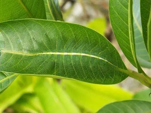 25張你必須要看兩眼才能看懂的「完美眼花錯位照」!