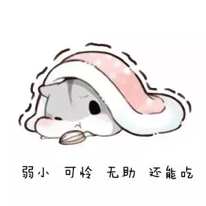 在《新加坡》準備上廁所,竟然發現有小野豬