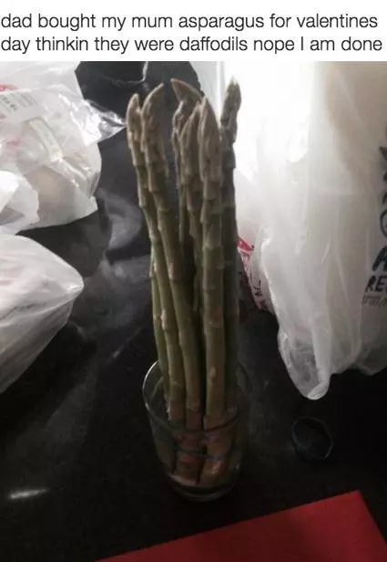 23個挖了自己墳墓的下一秒悲劇人!