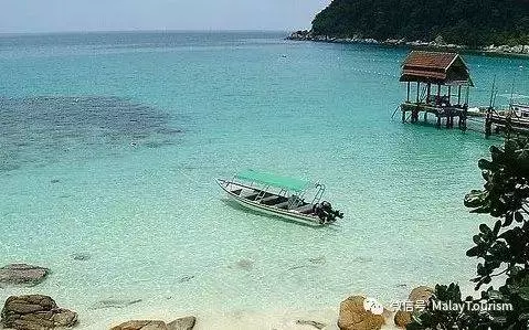 (大馬)馬來西亞★刁曼島 走進美麗珊瑚礁!