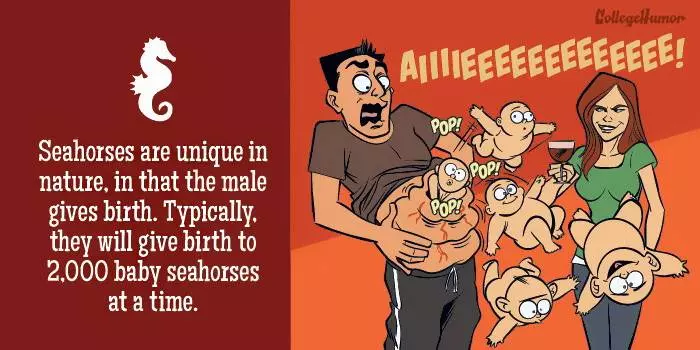 如果人類「像這5種動物一樣生產」這就是會發生的驚奇過程!但最驚奇的果然還是電視劇角色...