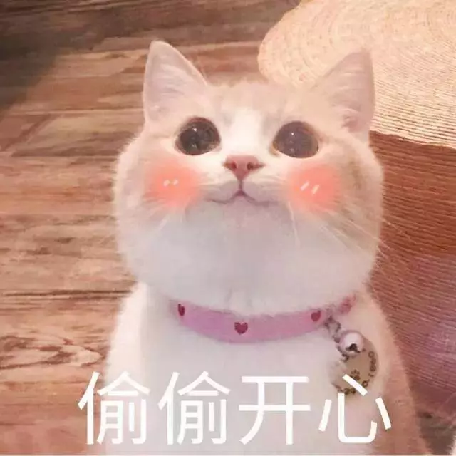 一路攀升,新幣對人民匯率終於破5 !工資換成人民幣又賺錢了 !