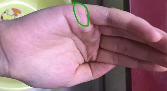 左手稍稍握拳,從側面看你的手有幾條線,你就是什麼命,很準
