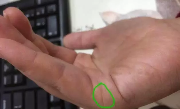 左手稍稍握拳,從側面看你的手有幾條線,你就是什麼命,很準