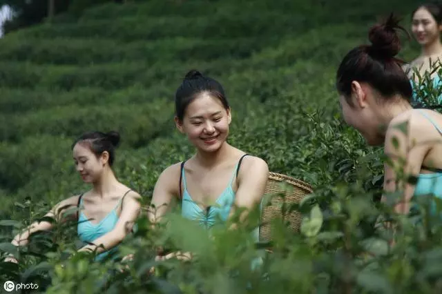 塔羅占卜你該怎樣征服心儀的他/她?