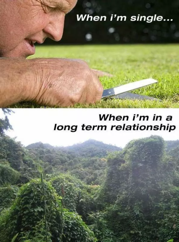 18張交往前vs交往後的爆笑插圖,證明單身真的太可憐了!