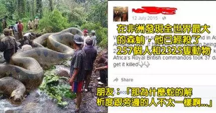 15個「想要在FB上炫耀」但卻被人抓到在撒謊的終極傻B。