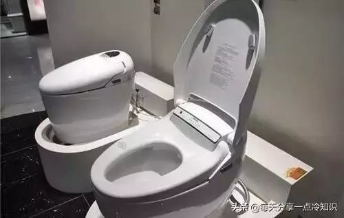 23個冷知識,日本的國寶是朱䴉。