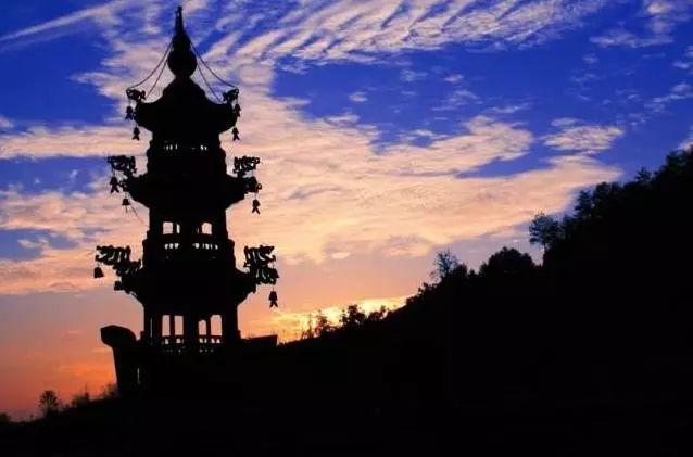 一條老狗「每天聽高僧念經」,有一天高僧告訴徒弟:快把這條狗處理掉!