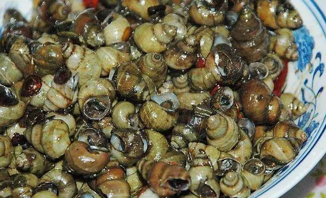 醫生忠告:別再吃5種食物了,含有太多的寄生蟲、病菌,比馬桶都髒