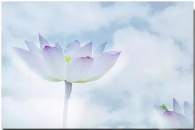 易經:為什麼說厲害的人,都是雌雄同體?因為會用兩種原生力