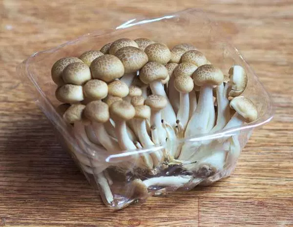 到底缺牙的時候是該戴假牙還是植牙? 資深牙醫的良心勸告:能裝假牙,就儘量不要植牙!