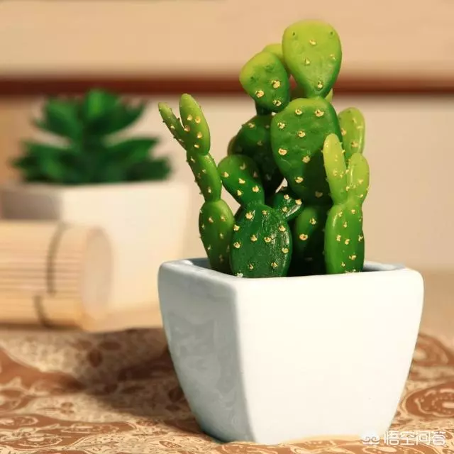 小蘇打的妙用你知道多少?都有哪些妙用?