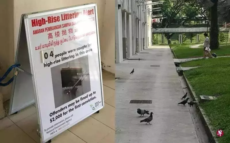 《小心》在「」新加坡「」做這件事竟然違法,還可能被拍照曝光