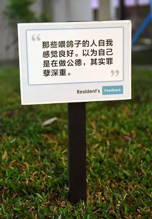 《小心》在「」新加坡「」做這件事竟然違法,還可能被拍照曝光